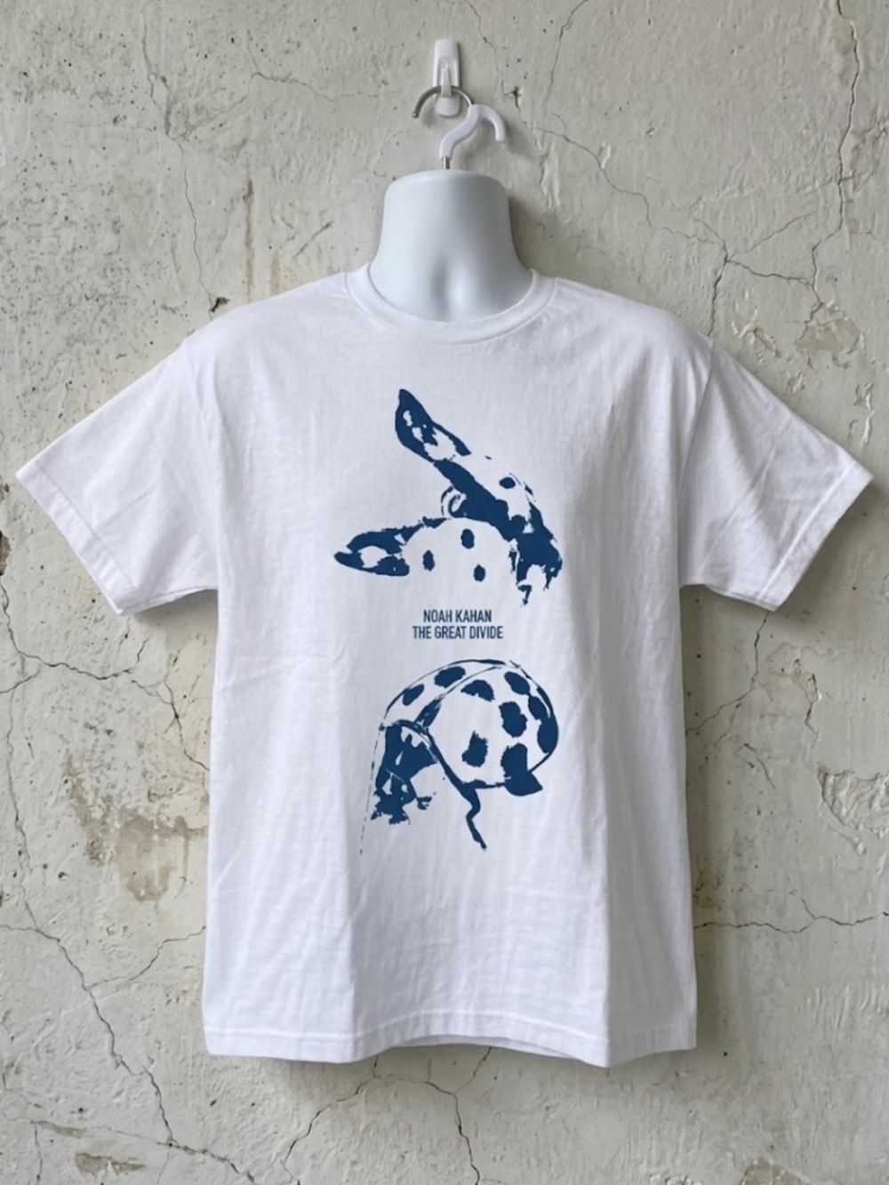 Noah Kahan The Great Divide Ladybug Graphic T-Shirt Gildan 5000 Heavy Cotton Tee